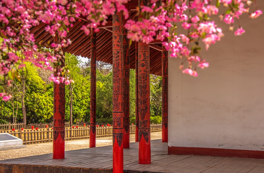 殷墟國家考古公園春日美景。彭捷攝