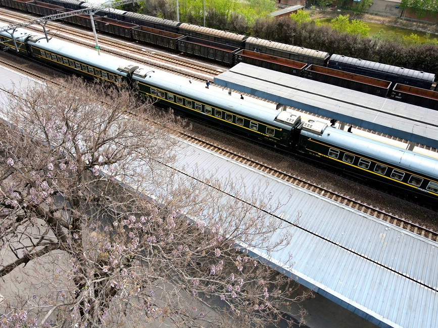 桐花飘香迎客来。栗璋鹏摄