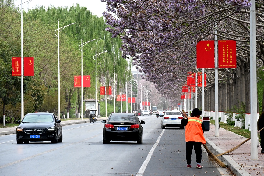 桐花飘香迎客来。栗璋鹏摄