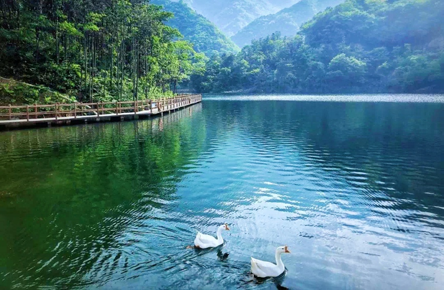 西河风景区供图