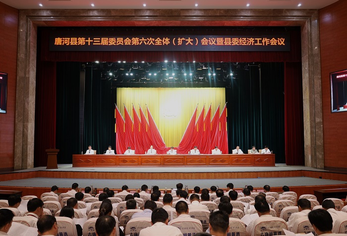 唐河县第十三届委员会第六次全体（扩大）会议召开