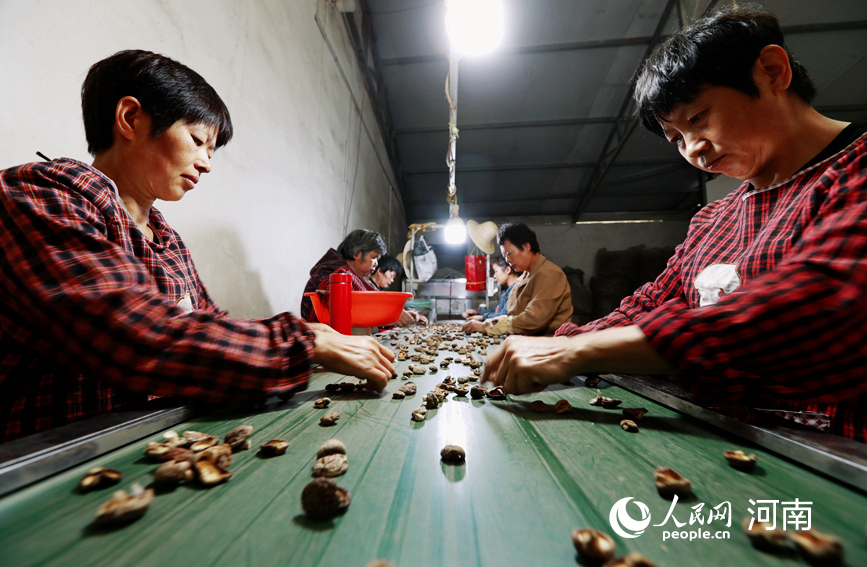 工人在生产车间忙碌。人民网 霍亚平摄