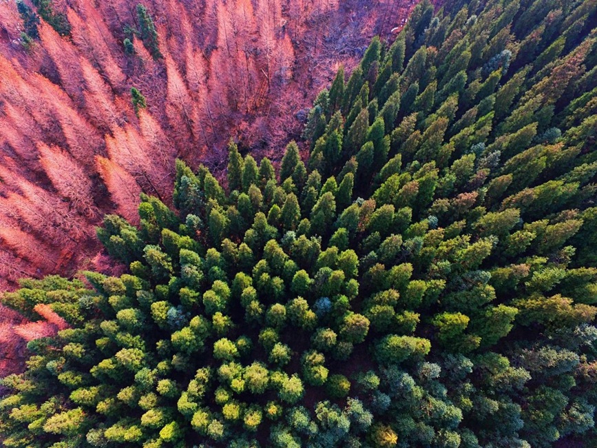 商城：来黄柏山，拥抱油画里的秋天
