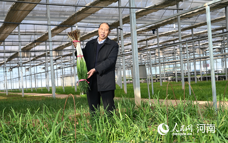 马金海介绍韭菜新品种。人民网记者 王玉兴摄