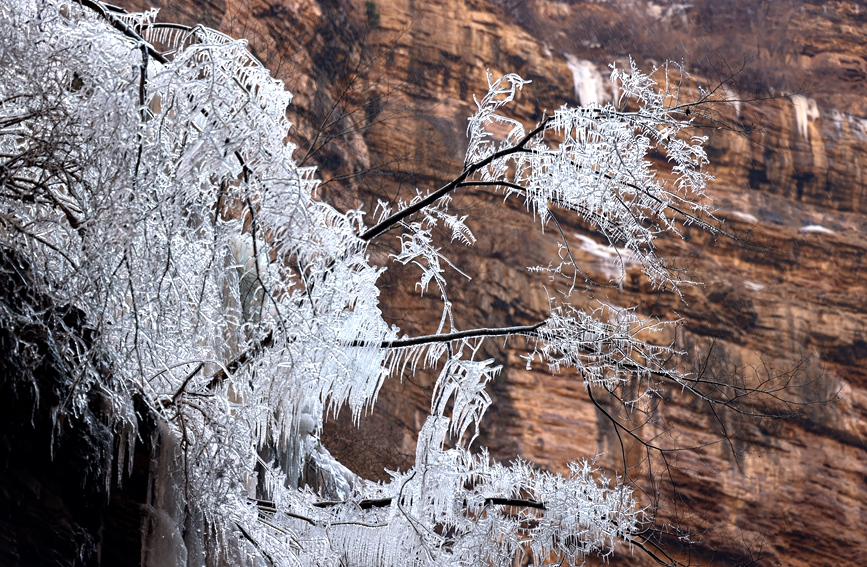 隆冬時節，太行大峽谷冰雪景觀美不勝收。麻翛然攝