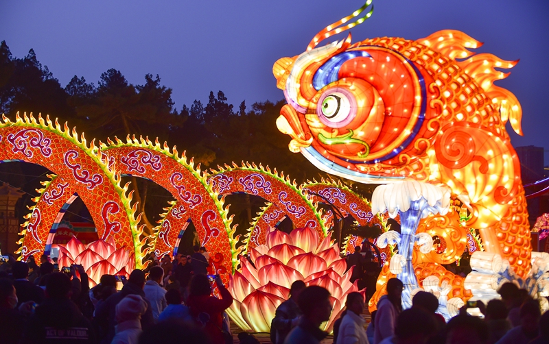 游客在河南省洛阳市王城公园迎春灯会上欣赏各类花灯。黄政伟摄