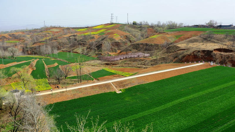 原来杂乱无章的坡地，如今已变成层层叠叠的梯田。彭可摄