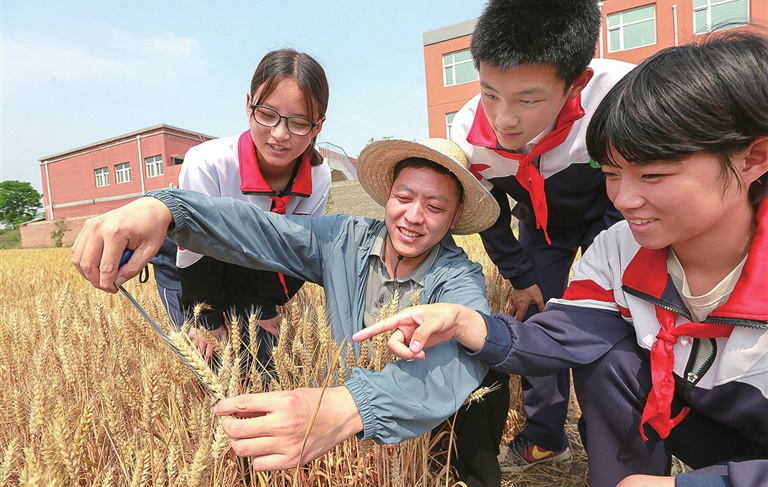 学生了解小麦成长过程