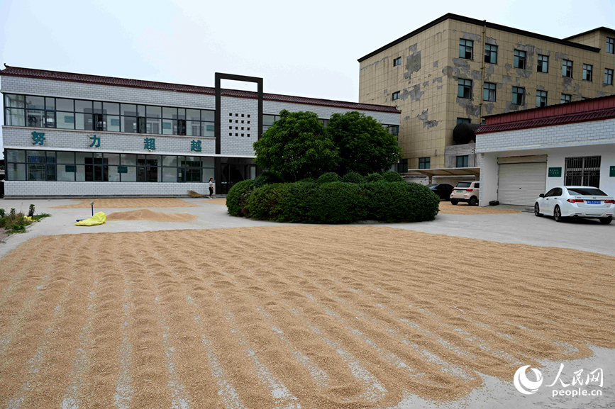 谷营镇供电所也向群众开放。人民网记者 王玉兴摄