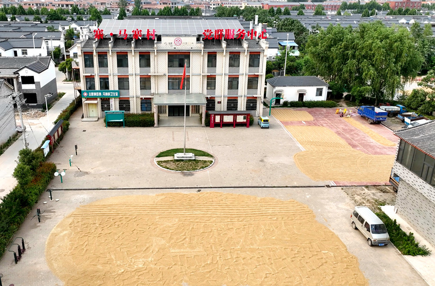 谷营镇马寨村村委会。李金雷摄