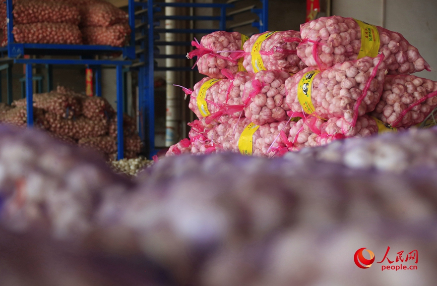 河南杞县大蒜交易市场里堆满了大蒜。人民网 霍亚平摄