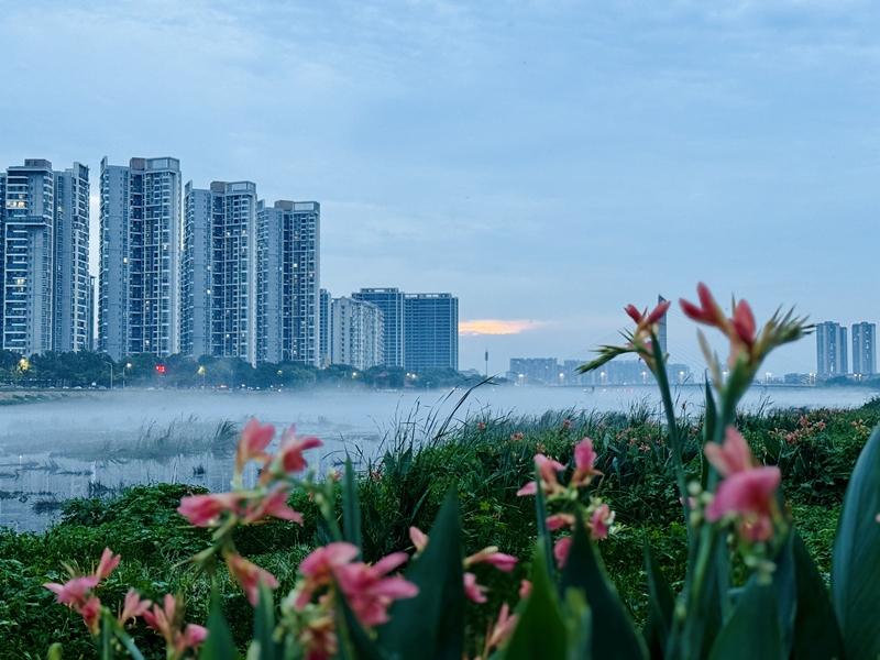 信阳浉河区：雾霭氤氲人间仙境