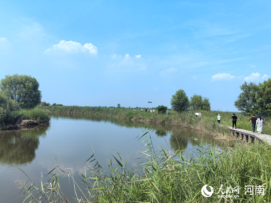 人们行走在孟津黄河湿地国家级自然保护区内的步道上。人民网 于思远摄 