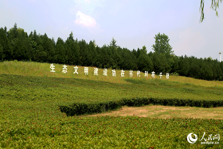 伊河城區段廊道環境優美。人民網 於思遠攝