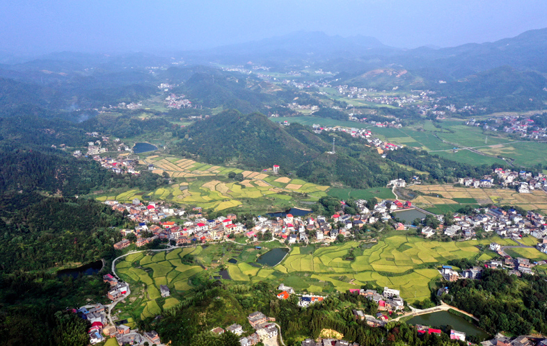 江西上栗：秋日山村 丰收画卷