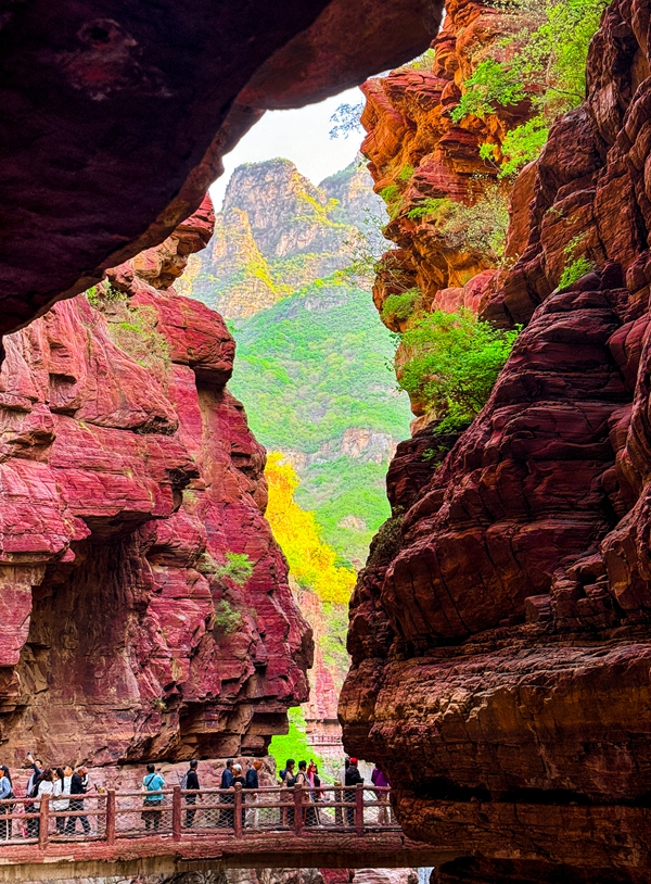 峡谷奇观。云台山景区供图