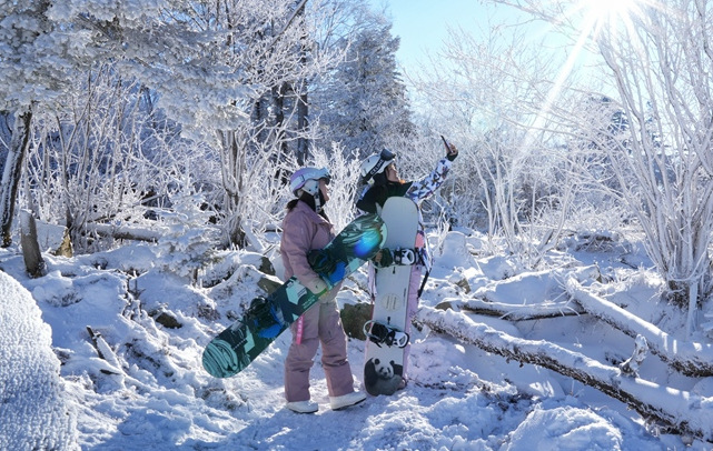 吉林市：高山雾凇漫卷 玉树琼枝如画