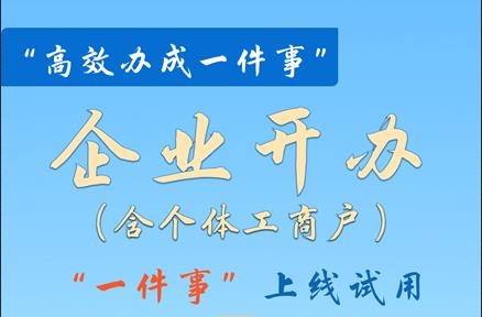 14个“高效办成一件事”事项在鹤壁市上线试运行