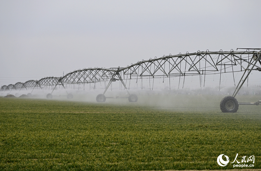 2月19日，河南浚县王庄镇高标准农田内，大型智能喷灌设备正在高效作业。人民网记者 王玉兴摄
