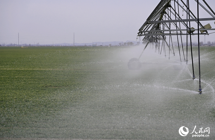 2月19日，河南浚县王庄镇高标准农田内，大型智能喷灌设备正在高效作业。人民网记者 王玉兴摄