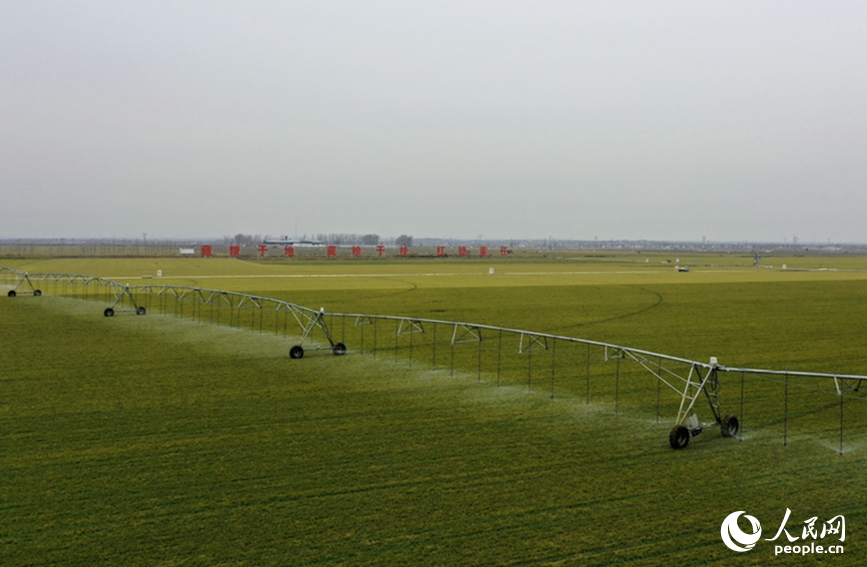2月19日，河南浚县王庄镇高标准农田内，大型智能喷灌设备正在高效作业。人民网记者 王玉兴摄