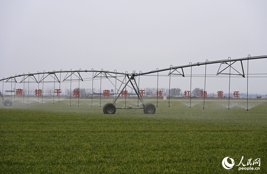 2月19日，河南浚县王庄镇高标准农田内，大型智能喷灌设备正在高效作业。人民网记者 王玉兴摄