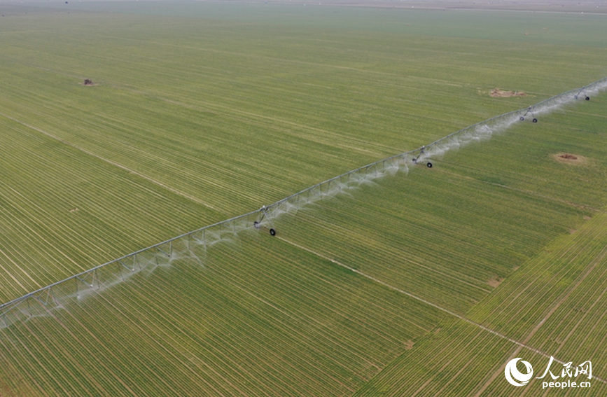 2月19日，河南浚县王庄镇高标准农田内，大型智能喷灌设备正在高效作业。人民网记者 王玉兴摄