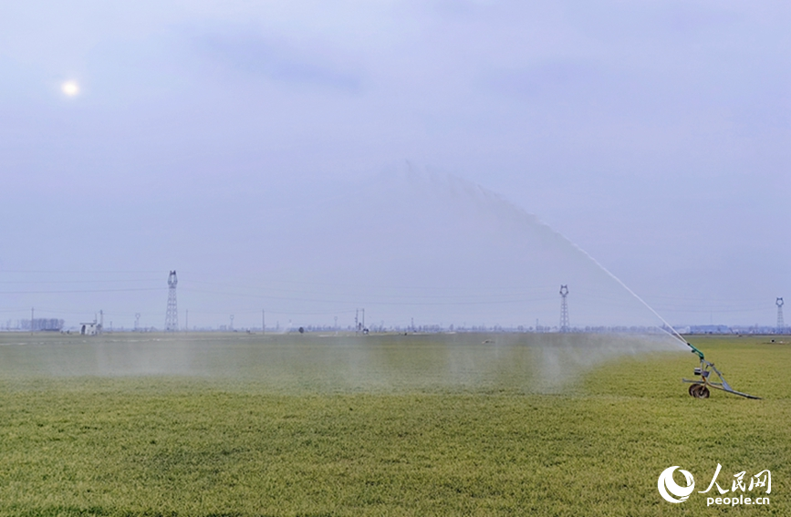 2月19日，河南浚县王庄镇高标准农田内，大型智能喷灌设备正在高效作业。人民网记者 王玉兴摄