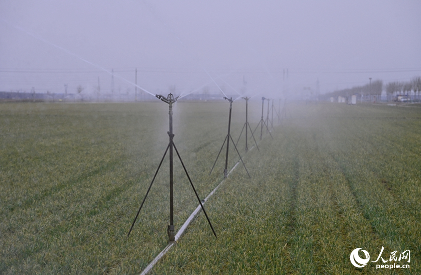 2月19日，河南浚县王庄镇高标准农田内，大型智能喷灌设备正在高效作业。人民网记者 王玉兴摄