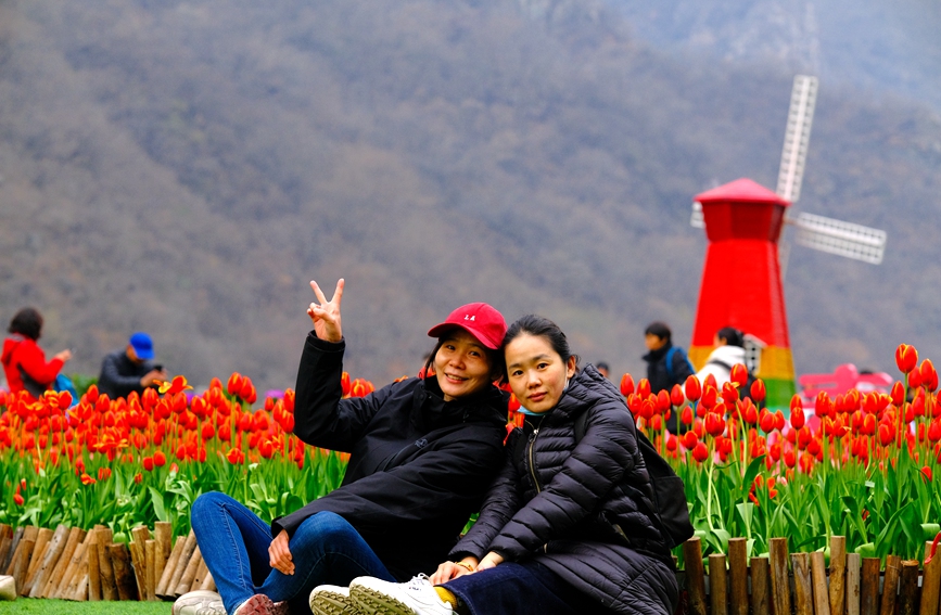 游客们穿梭于花海之间，记录美好的春日时光。张若宁摄