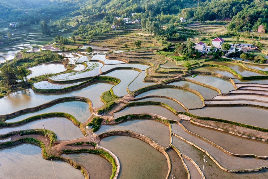 层层叠叠的梯田。周旭供图