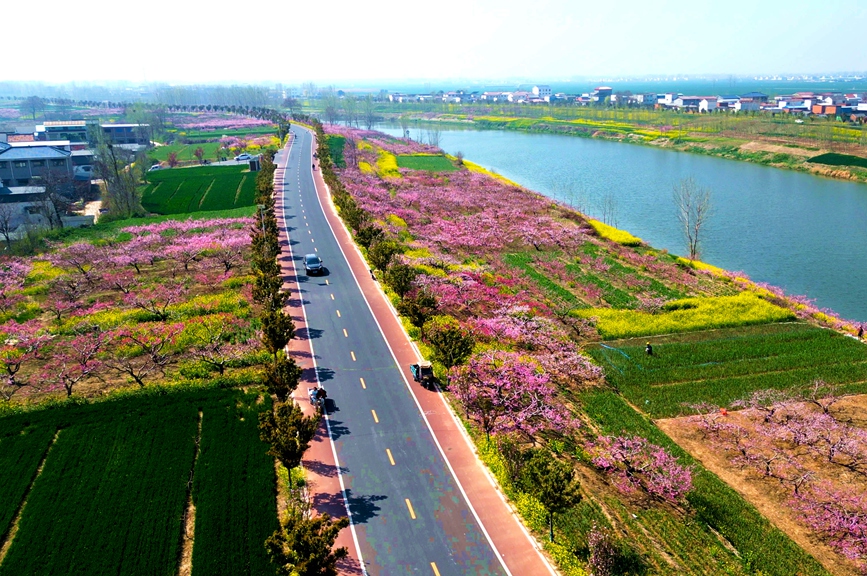 周口市西華縣Y024公路。河南省交通運輸廳供圖（資料圖片）