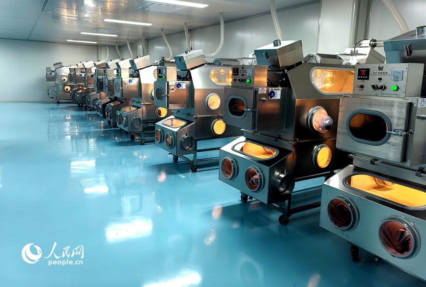 疫苗生产车间。人民网记者王玉兴摄