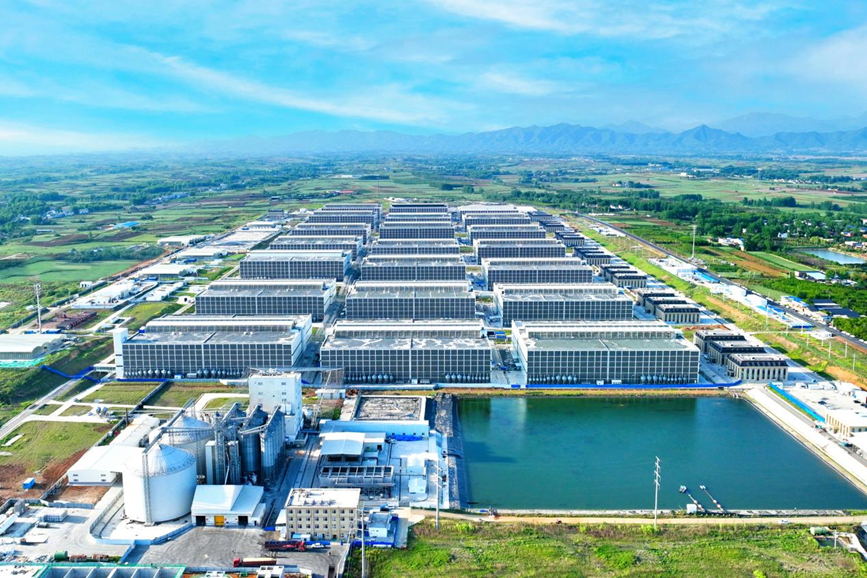 内乡牧原肉食产业综合体。牧原提供