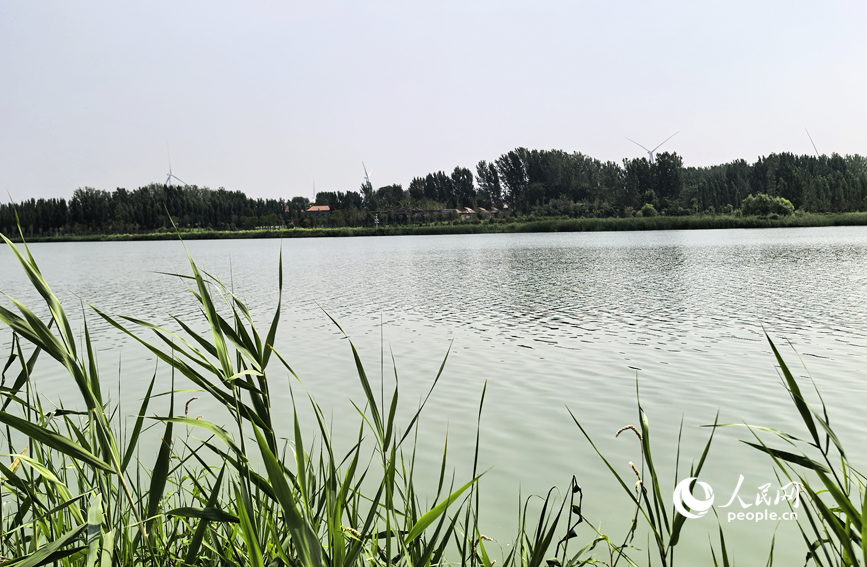 夏日青龍湖美景。人民網 辛靜攝