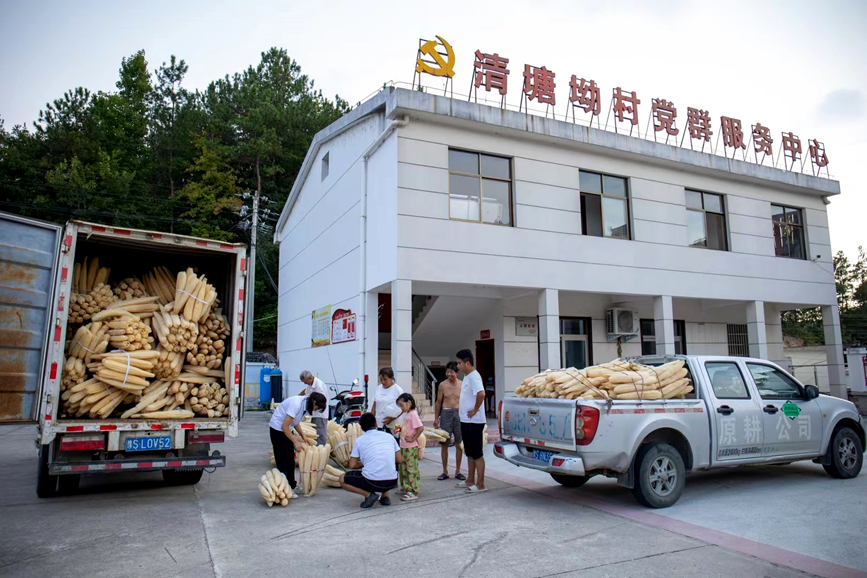 乐发彩票-追求健康,你我一起成长商城县：