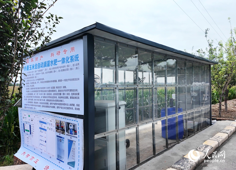 小麦玉米全自动滴灌水肥一体化系统。人民网记者 时岩摄