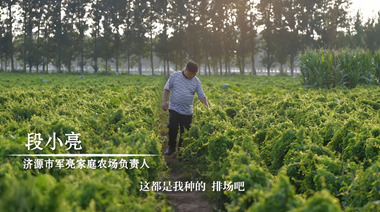 我種了1000畝“土味金箍棒”