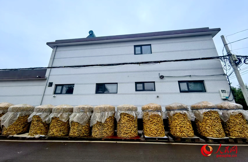 鐵絲籠通風性好且成本低，類似這樣的鐵絲籠每個30元左右，能裝約1000斤玉米。人民網 程明輝攝