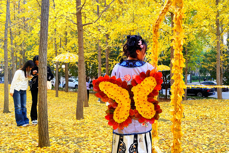 落叶成景，创意打卡点成校园网红地。郭蒙蒙摄