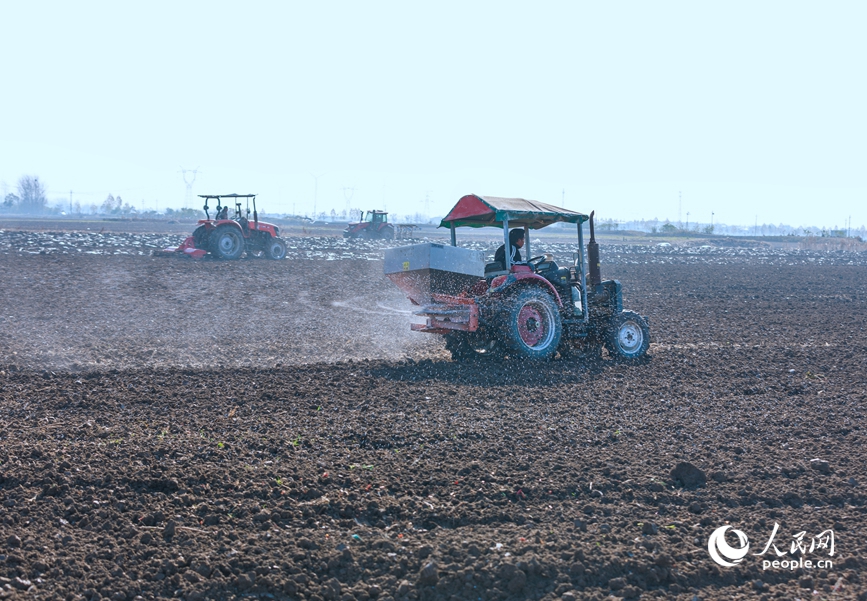 河南省漯河市临颍县王岗镇，一台农业机械正在播种过的田内喷洒化肥。人民网记者 宋芳鑫摄