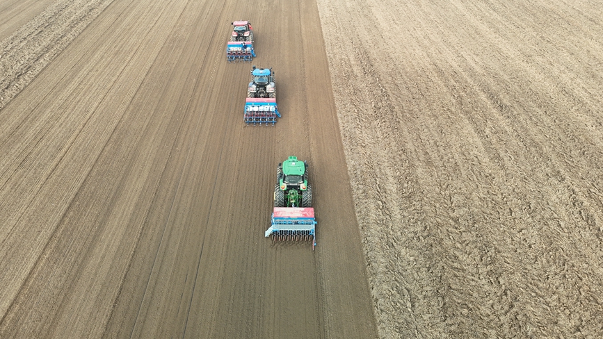 濮阳市清丰县固城镇的高标准农田里，群众正在播种小麦。僧少琴摄