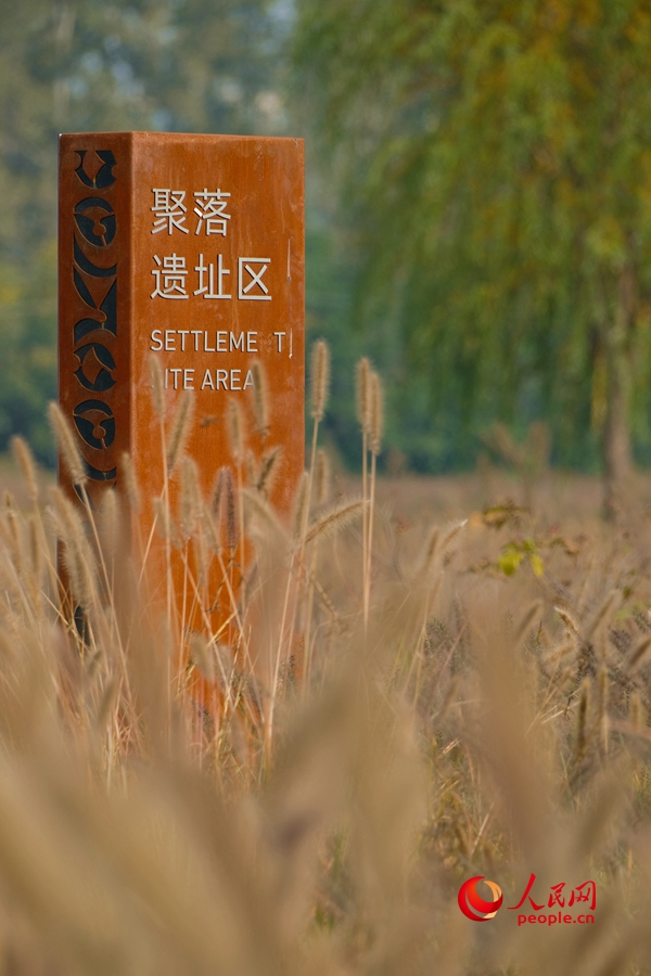 大河村国家考古遗址公园。人民网记者 肖懿木摄