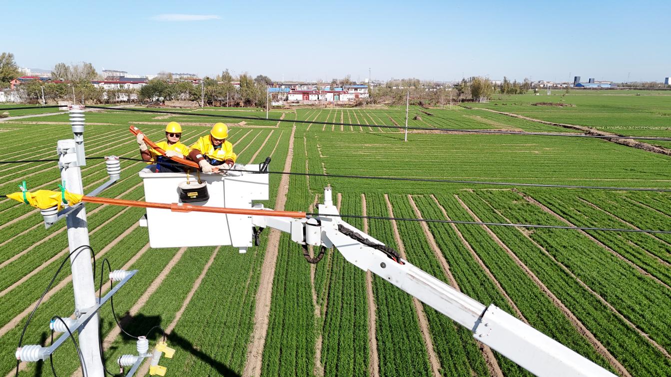 电网升级添动能万家灯火映初心(图2)