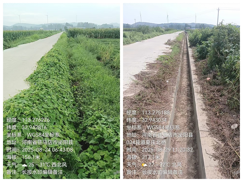 紅河村村口丁字路口水渠修整前后對比圖。駐馬店市委督查室供圖