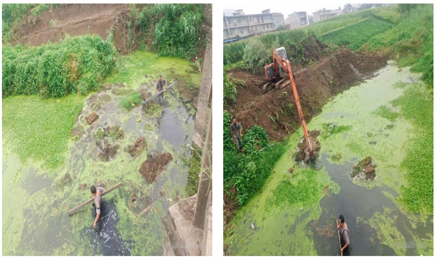 工人正在清理谷河河面水草和垃圾。驻马店市委督查室供图