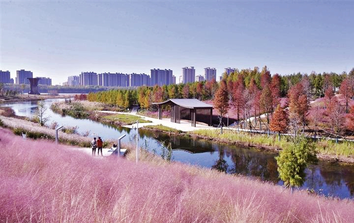 淇水樱华园冬景