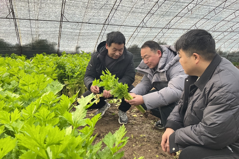 工作人员检查现场。张琳涵摄