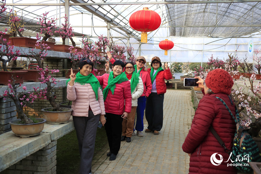 游客在蜡梅梅花展区打卡拍照。人民网记者 慎志远摄