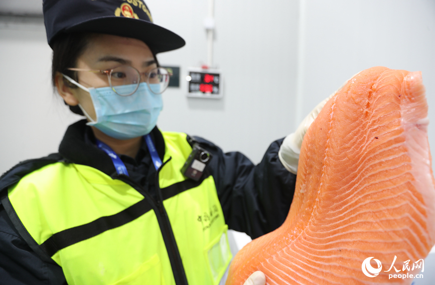 海关工作人员对三文鱼进行查验。人民网记者 霍亚平摄